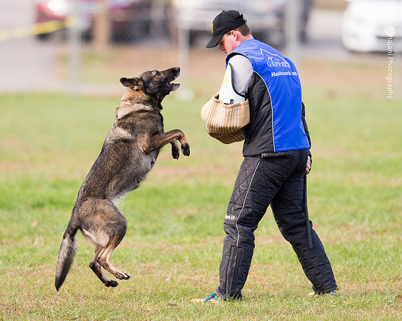 20151115_17693_USCA.Nationals.jpg