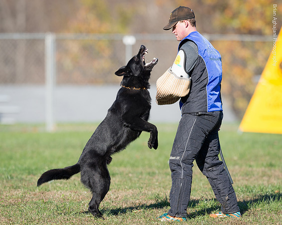 20151114_9626_USCA.Nationals.jpg
