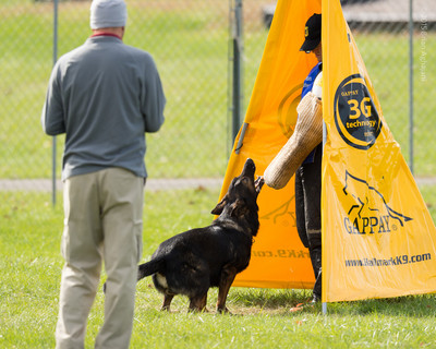 20151115_19738_USCA.Nationals.jpg