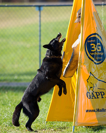 20151114_9494_USCA.Nationals.jpg