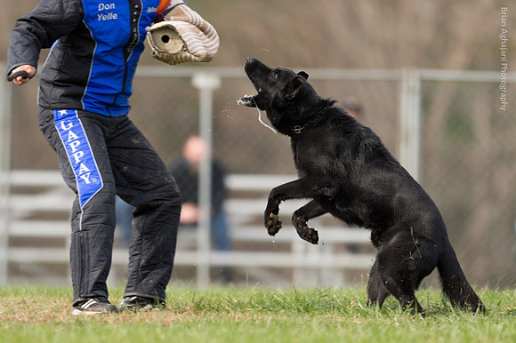 20151115_19590_USCA.Nationals.jpg