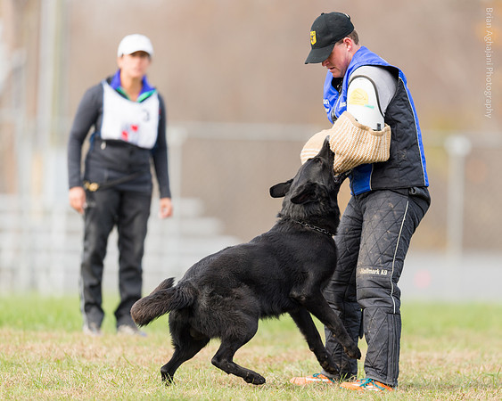 20151115_19535_USCA.Nationals.jpg