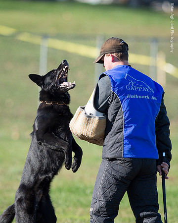 20151114_9571_USCA.Nationals.jpg