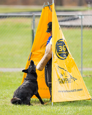 20151115_19445_USCA.Nationals.jpg