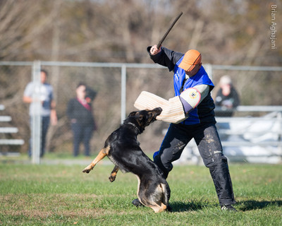 20151114_#10476_USCA.Nationals