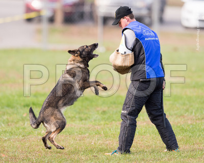 20151115_17694_USCA.Nationals.jpg
