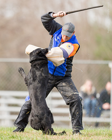 20151115_19594_USCA.Nationals.jpg