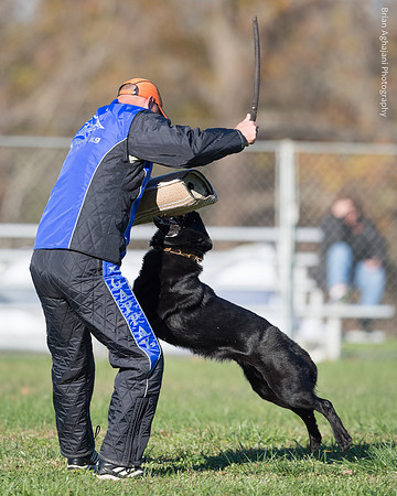 20151114_9671_USCA.Nationals.jpg