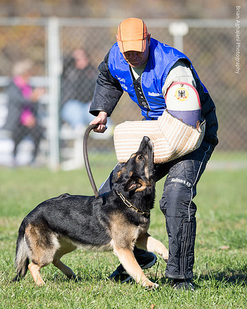 Ken Stuedle & Arko