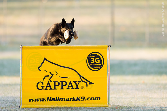 20151114_8167_USCA.Nationals.jpg