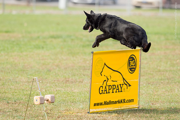 20151115_18065_USCA.Nationals.jpg