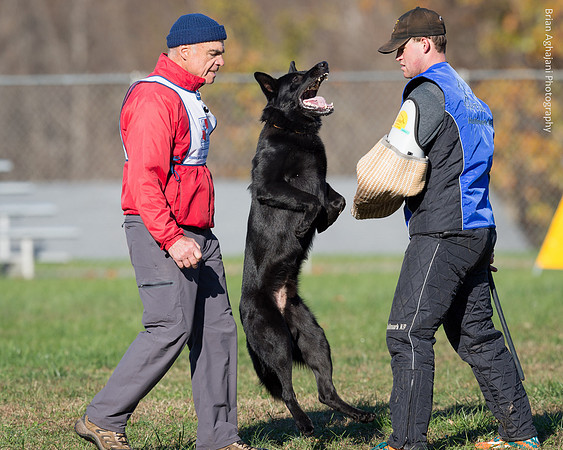 20151114_9659_USCA.Nationals.jpg