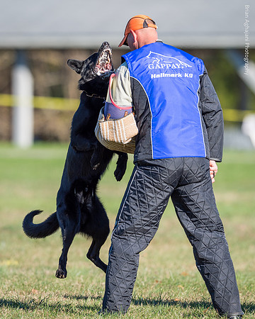 20151114_9734_USCA.Nationals.jpg