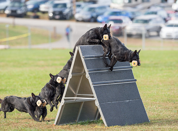 20151115_18092_USCA.Nationals-Edit.jpg