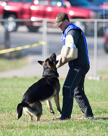 Ken Stuedle & Arko