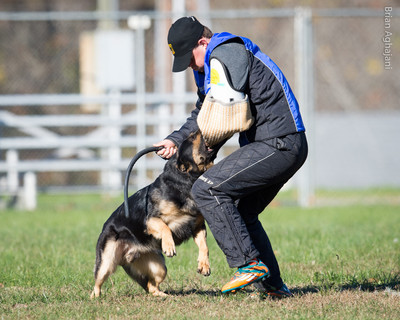 20151114_#10422_USCA.Nationals