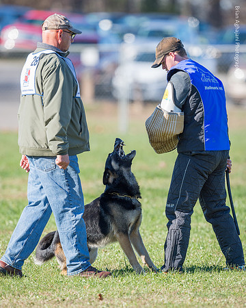Ken Stuedle & Arko