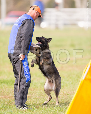 20151115_17749_USCA.Nationals.jpg