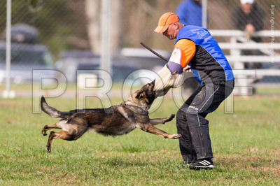 20151115_17733_USCA.Nationals.jpg
