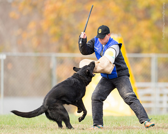 20151115_19514_USCA.Nationals.jpg