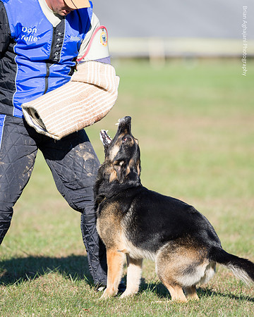Ken Stuedle & Arko