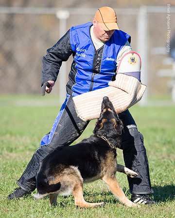 Ken Stuedle & Arko