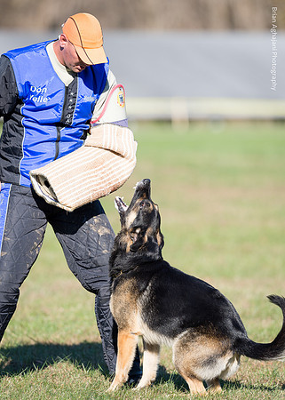 Ken Stuedle & Arko