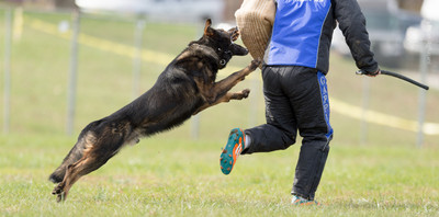 20151115_19761_USCA.Nationals.jpg