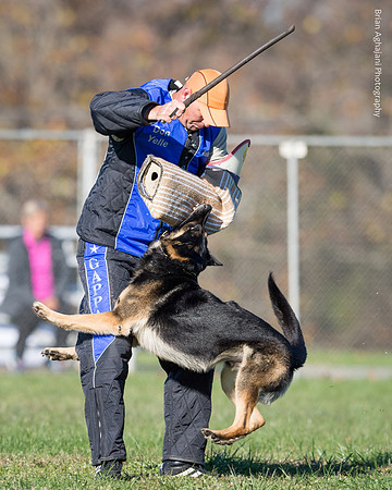 Ken Stuedle & Arko