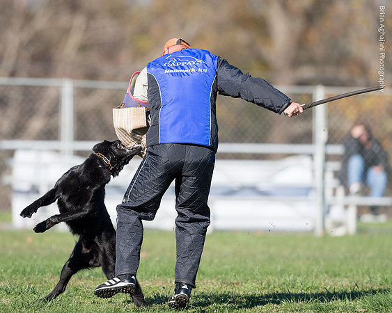 20151114_9673_USCA.Nationals.jpg