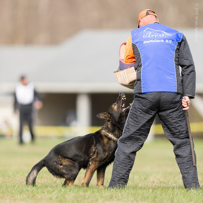 20151115_19893_USCA.Nationals.jpg