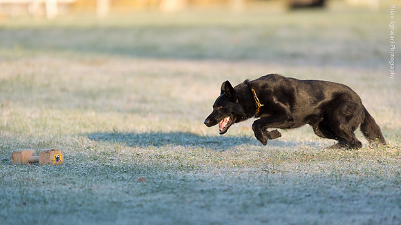 20151114_8147_USCA.Nationals.jpg