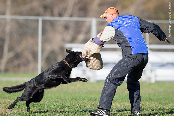 20151114_9675_USCA.Nationals.jpg