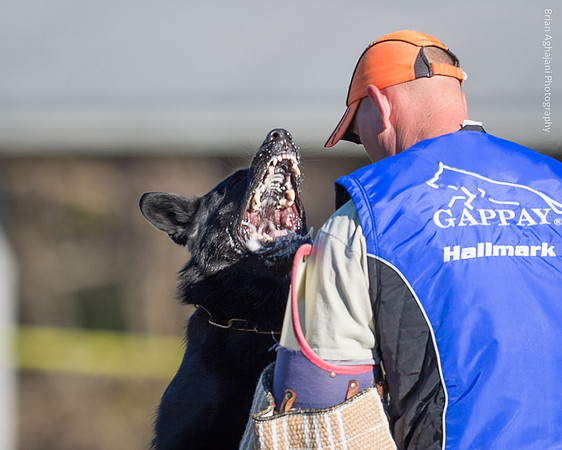 20151114_9734_USCA.Nationals-2.jpg