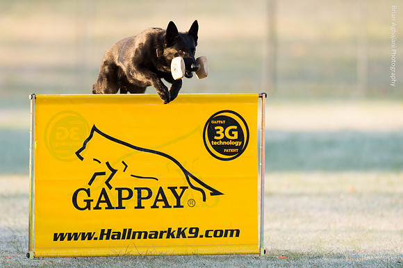 20151114_8168_USCA.Nationals.jpg