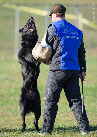 20151114_9596_USCA.Nationals.jpg