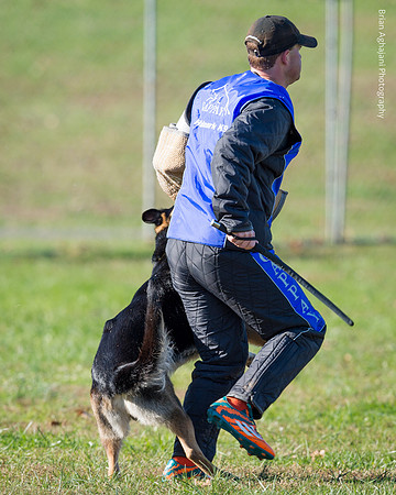 Ken Stuedle & Arko