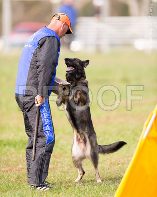 20151115_17754_USCA.Nationals.jpg