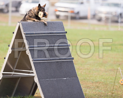 20151115_16495_USCA.Nationals.jpg