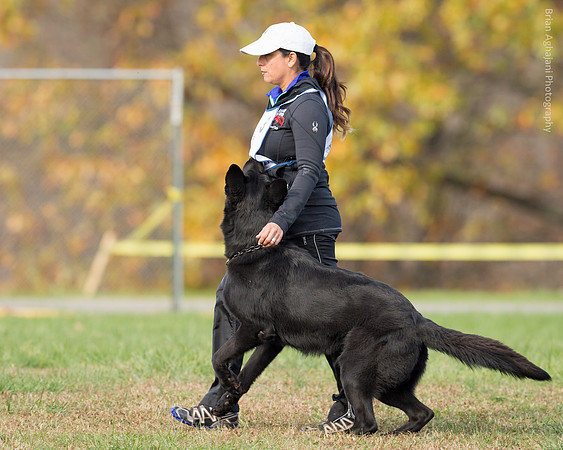 20151115_17955_USCA.Nationals.jpg