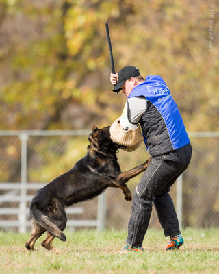 20151115_19804_USCA.Nationals.jpg