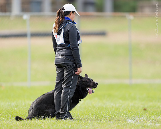 20151115_19463_USCA.Nationals.jpg
