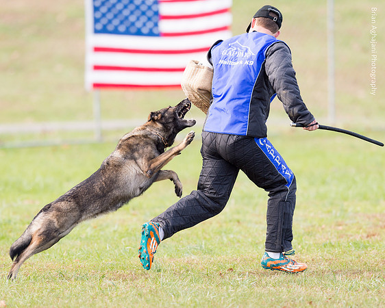 20151115_17675_USCA.Nationals.jpg