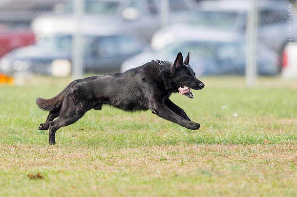 20151115_18026_USCA.Nationals.jpg