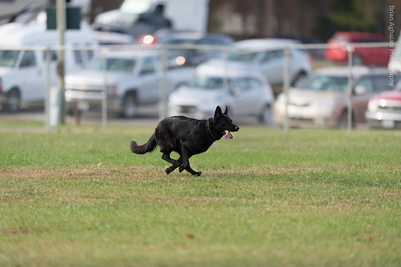 20151115_18020_USCA.Nationals.jpg