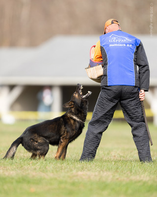 20151115_19901_USCA.Nationals.jpg