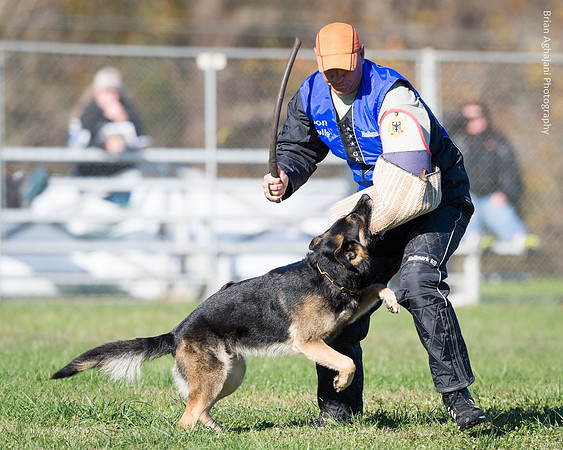 Ken Stuedle & Arko