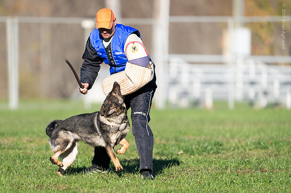 20151114_8900_USCA.Nationals.jpg