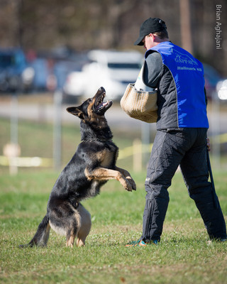 20151114_#10387_USCA.Nationals