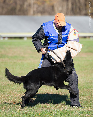 20151114_9717_USCA.Nationals.jpg
